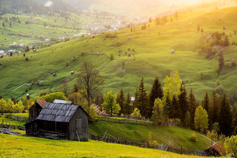Bucovina