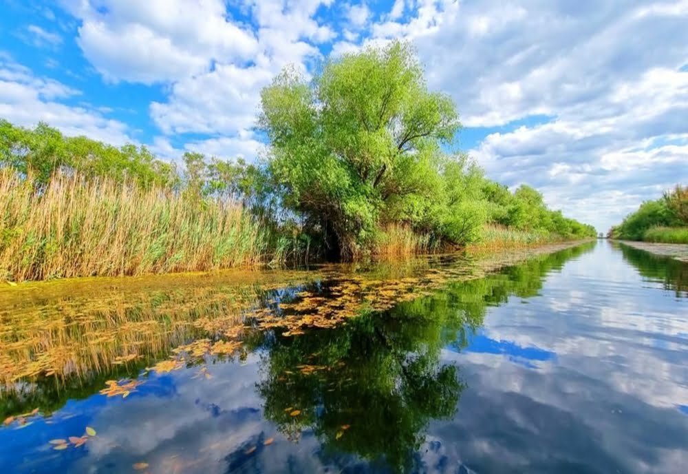 Delta Dunării