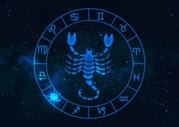 Scorpion