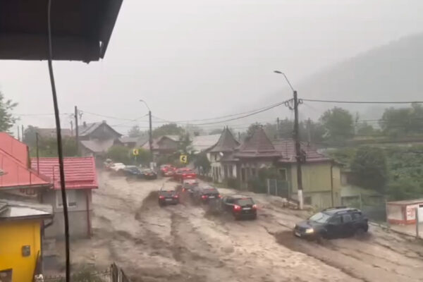 Viitură devastatoare în Bușteni: mașini luate de ape și o femeie rănită grav